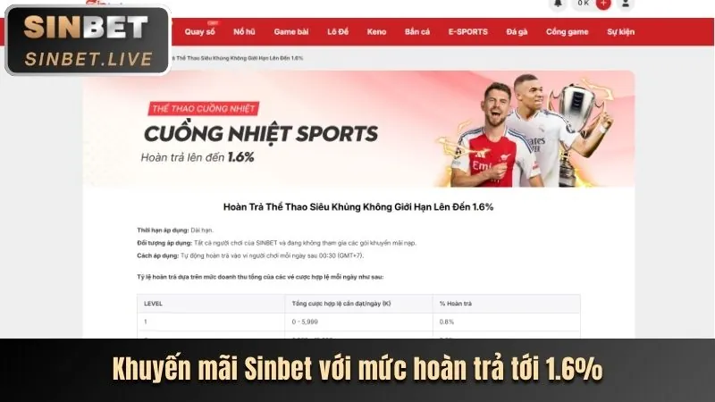 Đồ họa thể hiện các cấp độ VIP khác nhau và sự thăng tiến